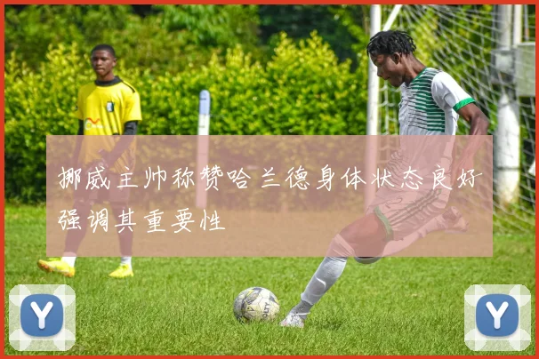 挪威主帅称赞哈兰德身体状态良好强调其重要性